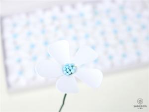 Soap Flower Head
